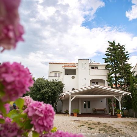 Apartments Ostrea - Mimoza Novalja Bagian luar foto